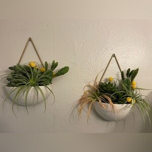 Wall Hanging Planters with Succulents